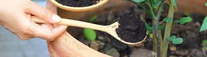 Stock/share prices today, mangalam organics ltd. Why The Strengths Of Mangalam Organics Could See It Ride Out Economic Uncertainty