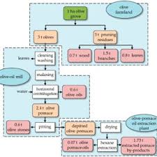 Pdf Energetic Valorisation Of Olive Biomass Olive Tree Pruning Olive Stones And Pomaces
