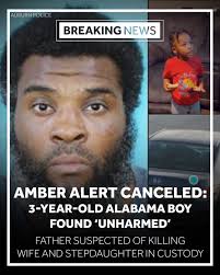 Blitz & Zone Friday Update: Zone is ready for playtime, Blitz is begging me  not to hype her up 😂