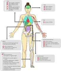 Magnesium And Human Health Perspectives And Research Directions