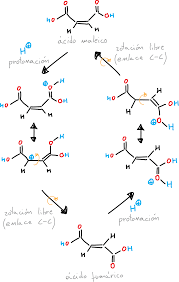 Kinetic Study On The Preparation Of Fumaric Acid From Maleic Acid By Batch  Noncatalytic Isomerization