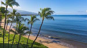 We look at the 10,000 hour rule discussed in detail by malcolm gladwell in. Hawaii Travel Restrictions What To Know Before You Go Conde Nast Traveler