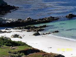 Choose your favorite islas malvinas designs and purchase them as wall art, home decor, phone cases. Fotos De Islas Malvinas Imagenes De Islas Malvinas America Del Sur Tripadvisor