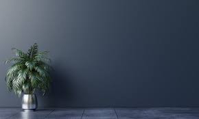 We did not find results for: Dark Background Empty Room With Plants On A Floor Empty Room Room With Plants Minimalist Living Room