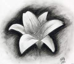 Use features like bookmarks, note taking and highlighting while reading learn how to draw using charcoal for beginners. Charcoal Drawing Beginners Easy Charcoal Drawings Flowers Shading Pinterest Drawing Easy Charcoal Drawings Charcoal Flower Drawing Charcoal Drawing Flower
