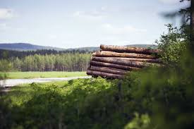 Designa din egen logotyp med vår automatiska logotyptillverkare. Region Varmland European Office Errin