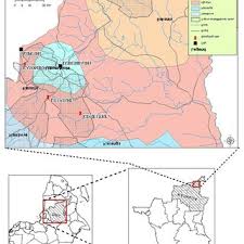 Image result for Adenodolichos