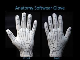 Anatomy Glove Learning System Hand Therapy Hand Anatomy Kinesthetic Learning
