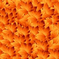 Looking for the best wallpapers? Autumn Mobile Wallpapers Download Free Autumn Wallpapers For Mobile Phones Page 1
