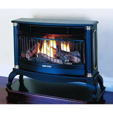 Duel Fuel Vent Free Fireplace From Procom At Ace Hardware Kamin