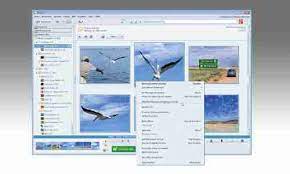 Maybe you would like to learn more about one of these? Picasa Alternative 5 Kostenlose Windows Tools Zur Bildverwaltung Pc Magazin