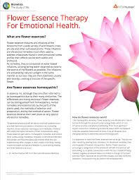 These days, it is normal to keep a small flower pot in our office and our homes. Flower Essence Therapy Advanced Allergy Treatment
