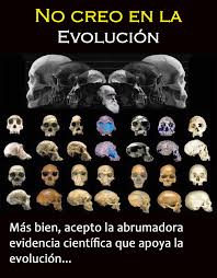 4 idea sobre la evolución del hombre. #CienciasSociales #biologia #evolucion #tareasescolares #materialescolar #MaterialEducativo
