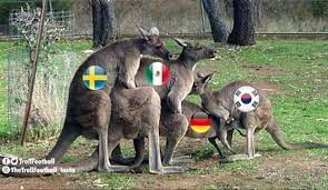 The best memes from instagram, facebook, vine, and twitter about group memes. World Cup 2018 Group F Memes