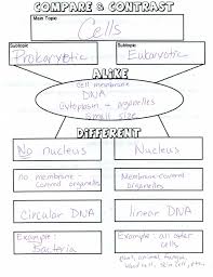 Pea Plant Punnett Square Worksheet In 2020 Worksheets Punnett Squares Worksheet Template
