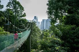 See all things to do. The 10 Best Hikes And Walks In And Around Kuala Lumpur