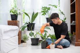Berikut ini deretan tanaman hias berbunga yang cocok ditempatkan di dalam ruangan. 3 Perangkat Cerdas Ini Bikin Tanaman Hias Tumbuh Segar Di Dalam Ruangan Okezone Lifestyle