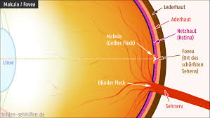 Sie möglicherweise eine brille oder kontaktlinsen. Sehstarke Visus Und Dioptrien Unterschied Und Umrechnung