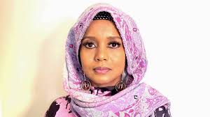 Ilskan efter ministerns utspel om somalier: ”Skyller på oss”