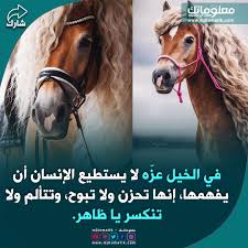 Pin By احمد العراقي On هل تعلم Horses Animals