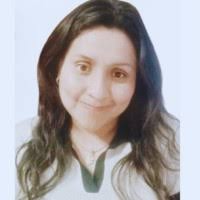 700+ "Noel" profiles