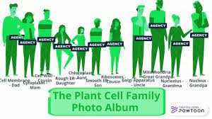 We did not find results for: Powtoon The Plant Cell Family Photo Album Brianna Mendez