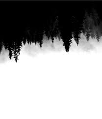 A poorly designed book is very difficult to read. Book Cover Tips 77 Fading Woods Wattpad