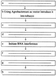 Minimize the effects of nematodes with resistant vegetable varieties and fruit tree rootstalk. Two Of The Steps Involved In Producing Nematode Resistant Tobacco Plants Base Of On Sarthaks Econnect Largest Online Education Community