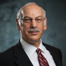 Leslie Mark Greenbaum, Lawyer in Buffalo, New York