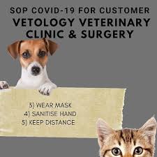 Sila ke qmed.asia/kpkj untuk membuat tempahan atau hubungi klinik pergigian kelana jaya di kindly please book your appointment at qmed.asia/kpkj or contact the kelana jaya dental clinic. Vetology Veterinary Clinic And Surgery Home Facebook