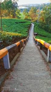 Get inspired by our interactive world map and directly book the flight to your next dream destination. Travelling Twitter Search Twitter