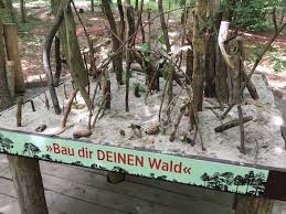 Ob in der ausstellung stadtwaldwelt im lichtdurchfluteten ausstellungsgebäude, im wald selbst oder auf dem barrierefreien walderlebnisweg sinneswandel. Das Haus Des Waldes In Stuttgart Spielerisch Den Wald Verstehen