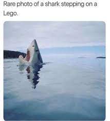 25 Best Stepping On A Lego Memes Meme Memes Hurts Memes Lego Brick Memes