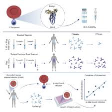 List of all zip codes in the philippines. Reduced Blood Stage Malaria Growth And Immune Correlates In Humans Following Rh5 Vaccination Sciencedirect
