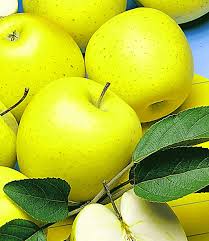 Baldur garten bietet eine große auswahl an pflanzen für jede jahreszeit sowie ein reichhaltiges sortiment an gartenzubehör und gartengeräten. Obst Fur Balkon Terrasse 1a Qualitat Baldur Garten