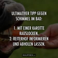 Ultimativer Tipp Gegen Schimmel Im Bad 1 Mit Einer Karotte Bad Einer Gegen Im Karotte Mit Mitdusche Schimmel Tipp Ultimati Silly Jokes Glee Quotes