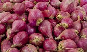 Update mei 2021 ✅ harga bawang merah terbaru bulan ini. Jual Bawang Merah Kota Tangerang Selatan Sakinggusti Tokopedia