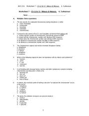 11 4 meiosis worksheet answer key. Ws 7 Pdf Worksheet 7 Itosis Meios S Name I 22 A Multiple Choice Questions 1 E Two Strands Of A Replicated Chrom Sister Chromatids Osome During Course Hero
