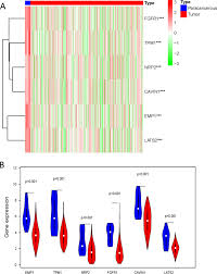The alternate color is listed below the chart. The Prognostic Value Of Six Survival Related Genes In Bladder Cancer Cell Death Discovery