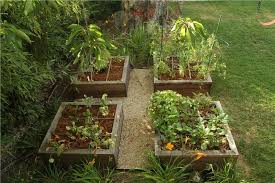 Check spelling or type a new query. Raised Bed Vegetable Gardening Landscaping Network