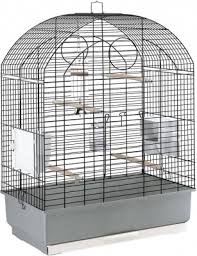 Cage Pour Perruche Viola H80 Cm