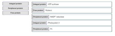 Maybe you would like to learn more about one of these? Biology Ch 6 Hw Flashcards Quizlet