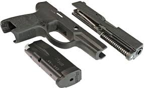 Sig sauer is not the correct spelling; Review Sig Sauer P250 Modern Modular Sidearm Pew Pew Tactical