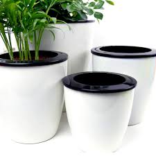 Just fill the reservoir as needed, and your plants get the moisture they need when they need it. Best Self Watering Planters Home Mum