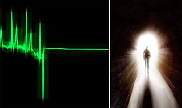 [Image: images?q=tbn%3AANd9GcSIqqihxArPK0jH7dbuK...p4C4TtLSYM]