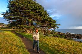 Things To Do Explore And Experience At The Sea Ranch
