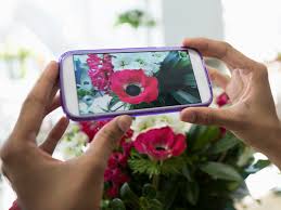 Maybe you would like to learn more about one of these? This Flower Identification App Is A Gardener S Best Friend