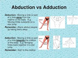 If you see an abandoned bowl of hot soup on the table, you can use abduction to conclude the owner of the soup is likely returning soon. Ppt Ped101 2012 Powerpoint Presentation Free Download Id 5527041