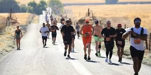 Hell Of A Half Marathon & 2 Person Relay
