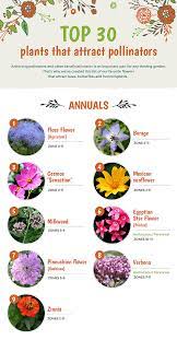 This is because the nectar and pollen grains are reachable by most bee species. Top 30 Plants That Attract Pollinators
